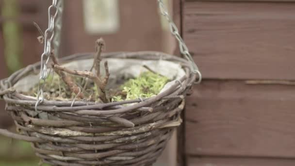 Hanging Basket Winter Garden — Vídeos de Stock