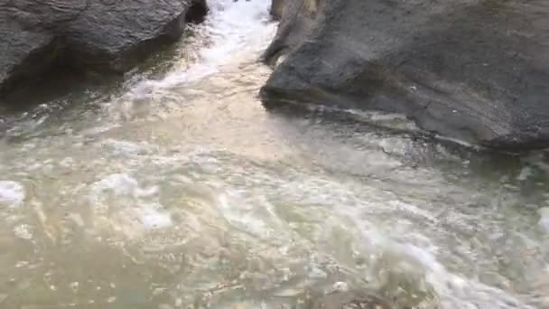 Fast River Stream Rocks Cold Season — Stockvideo