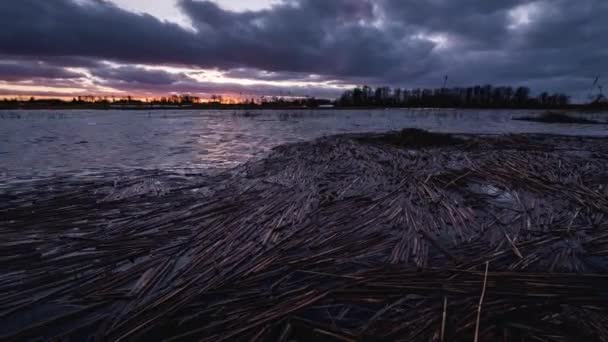 Time Lapse Flooded Spring River Straws Floating Sunset Dramatic Sky — ストック動画