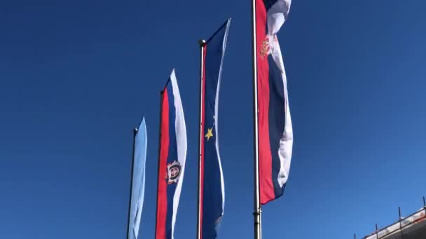 Serbian Flag Novi Sad Serbia — Stock Video