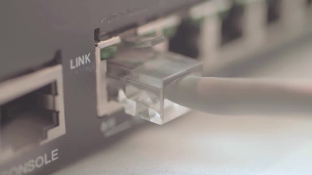 Network Link Light Flashing Signals Data Transfer — Vídeo de Stock