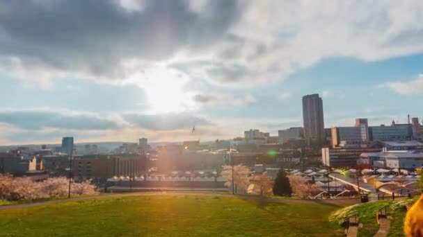 Sheffield Day Night Time Lapse Sunset Park Hill Amphitheatre Sheffield — Wideo stockowe