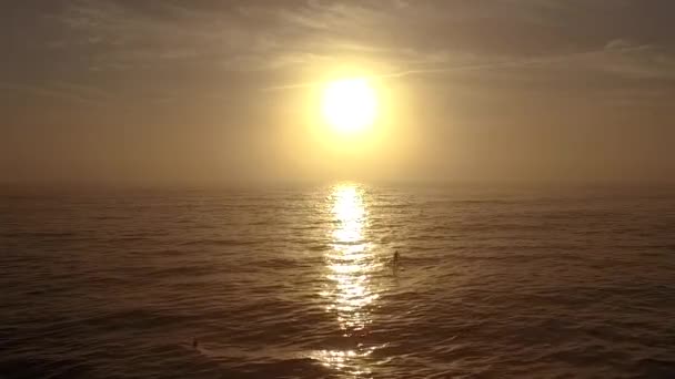 Stand Paddle Boarder Out Early Sunrise — Vídeos de Stock