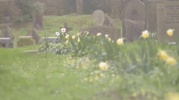 Old Graveyard Rural England – Stock-video