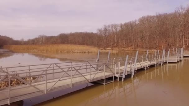 Imágenes Aéreas Puente Pie Que Cruza Lago Helado Durante Invierno — Vídeos de Stock