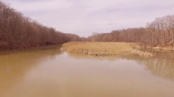 Aerial Footage Foot Bridge Crossing Icy Lake Winter State Park — Wideo stockowe