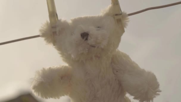 Teddy Bear Hangs Washing Line — Stock video