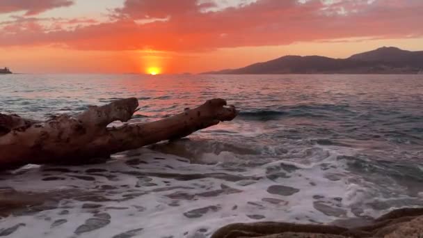Paradise Sunset Beach Slow Motion Waves Driftwood — Vídeo de Stock