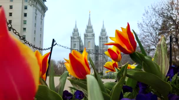 Salt Lake Temple Church Jesus Christ Latter Day Saints Also — Stok Video