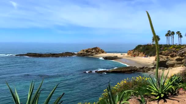 Laguna Beach California Beautiful Tropical Cove Ocean Waves Lapping Golden — Stockvideo