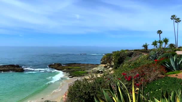 Beautiful Beach Rocks Cliffs Flowers Palm Trees Blue Skies Summer — Stock Video