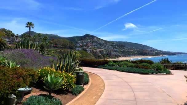 Beautiful Day Laguna Beach California Paved Path Plants Overlooking Blue — Wideo stockowe