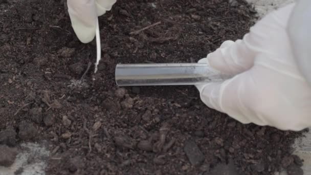 Using Test Tube Collect Soil Sample — Stockvideo