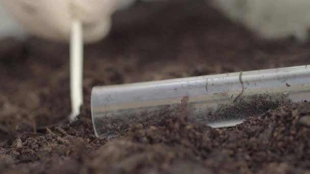 Using Test Tube Collect Soil Sample — ストック動画