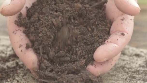 Pair Hands Soil — Vídeo de stock