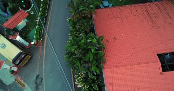 Drone Video Group Monkeys Running Throught Roofs Houses Manuel Antonio — Wideo stockowe