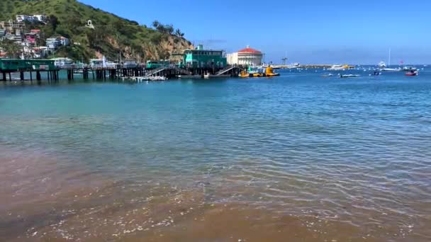 60P Ocean Harbor Waves Lapping Camera Sunny Day Catalina Island — Stock Video