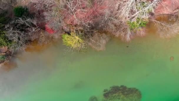 Top Aerial Shot Stunning Clear Water Tegernsee Beautiful Colors Seen — ストック動画