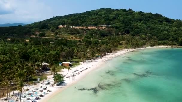 Aerial Fly Beautiful White Sand Beach Lined Palm Trees Turquoise — Wideo stockowe