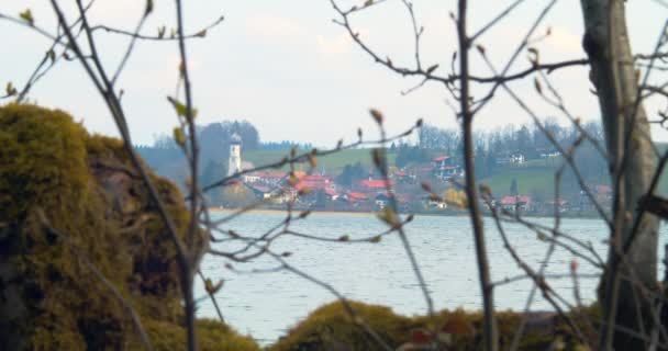 Gmund Tegernsee Seen Other Side Lake Some Branches — Stock Video