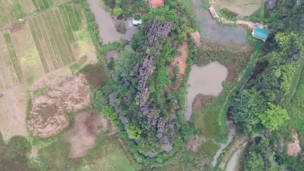 Aerial Top View Vietnamese Countryside Large Limestone Rocks Rice Fields — 图库视频影像