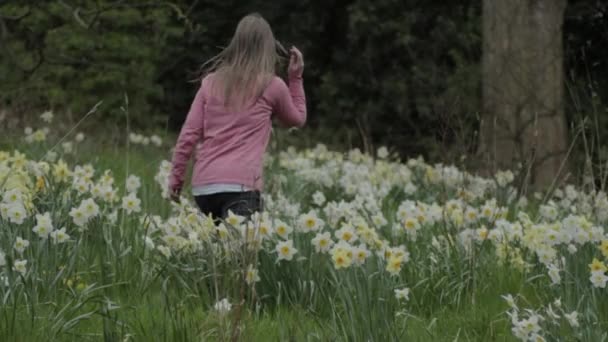 Woman Walks Field White Daffodils – stockvideo