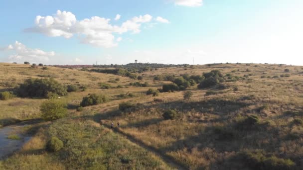 Aerial Fly Stream Summer Green Summer Field — Stockvideo