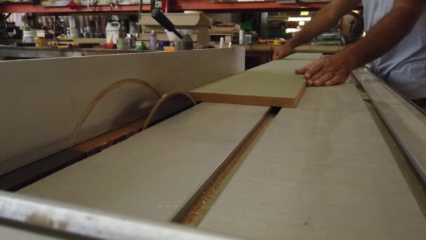Woodshop Cutting Multiplex Able Build Banch Droar Closet Table — Vídeos de Stock