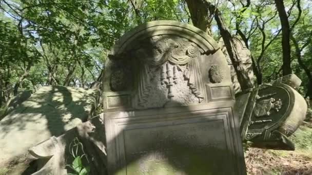 Beautifully Carved Jewish Gravestones Hebrew Inscriptions Jewish Cemetery Zdunska Wola — Stockvideo