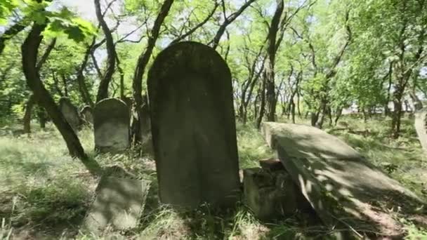 Beautifully Carved Jewish Gravestones Hebrew Inscriptions Jewish Cemetery Zdunska Wola — Vídeo de stock