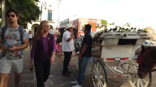 Closeup Mature Mother Son Walk Line Horse Drawn Carriages Waiting — Stockvideo