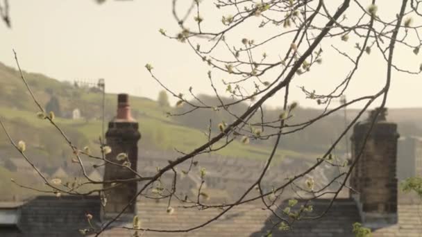 View Yorkshire Valley Two Chimneys — ストック動画