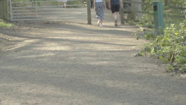 Holiday Makers Walk Country Lane — Stockvideo