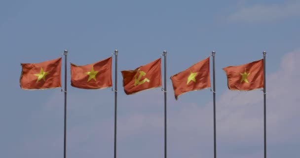 Video National Flags Vietnam Flag Communist Party Vietnam Cpv National — Stock Video
