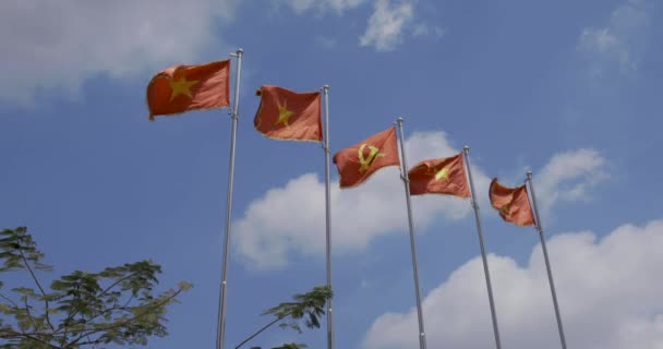 Vídeo Banderas Nacionales Vietnam Con Bandera Del Partido Comunista Vietnam — Vídeos de Stock