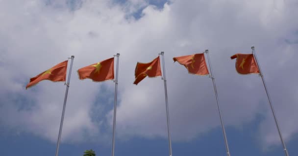 Videó Vietnami Nemzeti Zászlókról Vietnami Kommunista Párt Vagy Cpv Zászlajával — Stock videók