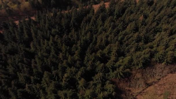 Disparo Dron Viajando Hacia Atrás Desde Bosque Que Revela Embalse — Vídeo de stock