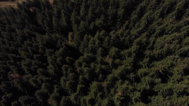 Drone Shot Travelling Backwards Out Forest Revealing Lady Bower Reservoir — Stockvideo