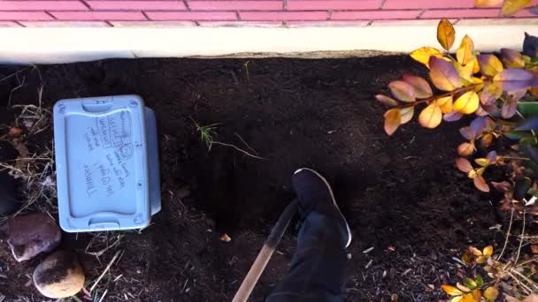 Digging Hole Dispersing Dirt Ground Flower Garden While Plastic Case — Video Stock