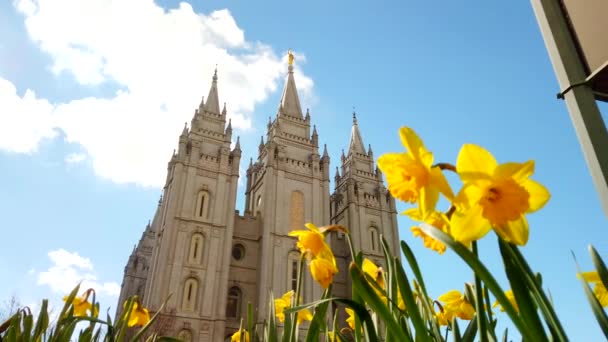 Sebuah Sudut Rendah Panci Dari Salt Lake Kuil Dengan Bakung — Stok Video