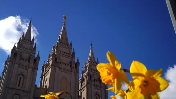 Low Angle Panning Time Lapse Flowers Foreground Clouds Moving Salt — Vídeos de Stock