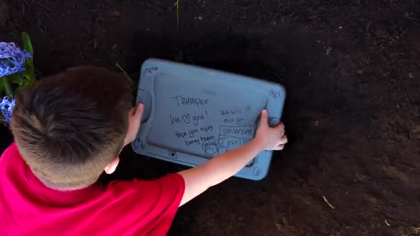 Chico Joven Colocando Caja Plástico Del Cuerpo Una Mascota Familia — Vídeos de Stock