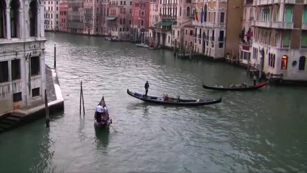 Gondolas Sail Grand Canal Venice Italy — ストック動画
