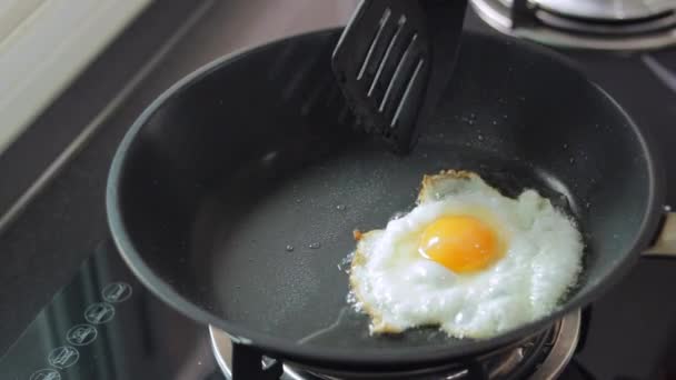 One Crispy Egg Frying Small Amount Sunflower Oil Black Pan — Video Stock