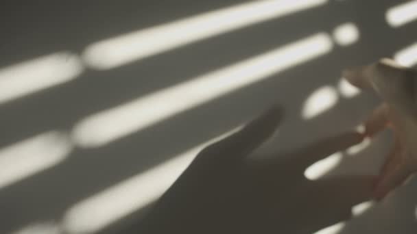 Man Passes His Hand White Wall Hard Window Shadow Sun — Stock videók