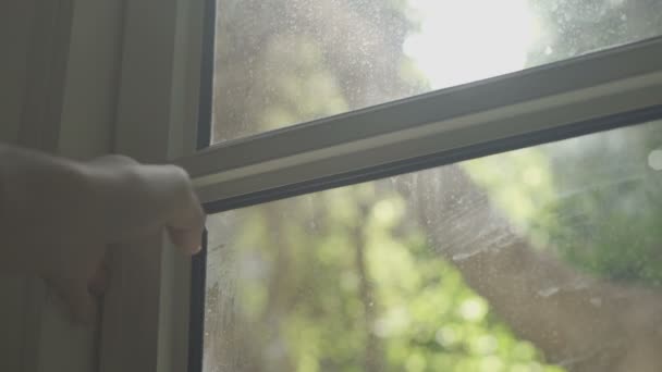 Primer Plano Mano Hombre Abriendo Una Ventana Jardín Exterior — Vídeos de Stock