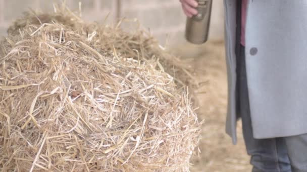 Woman Taking Break Bale Hay — Vídeo de stock