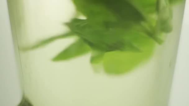 Mint Leaves Spinning Water Glass Macro Shot — ストック動画