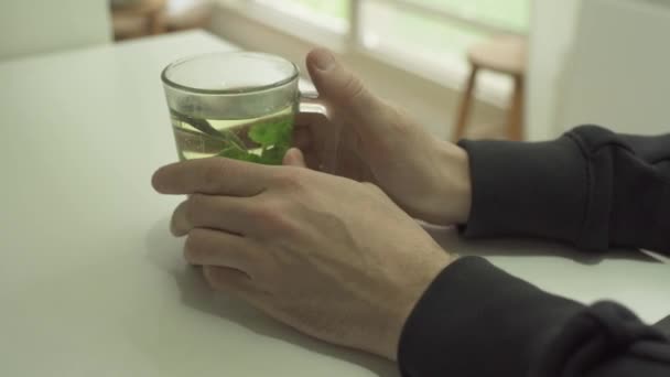 Man Hands Hold Hot Herbal Tea Glass Cold Day — Stock Video