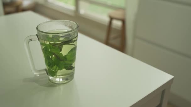 Glass Herbal Tea Set House Table — 비디오